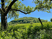 Blick zum Hohenstaufen