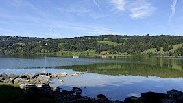 der Alpsee