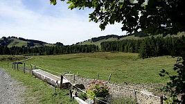 Natur pur, vom Feinsten